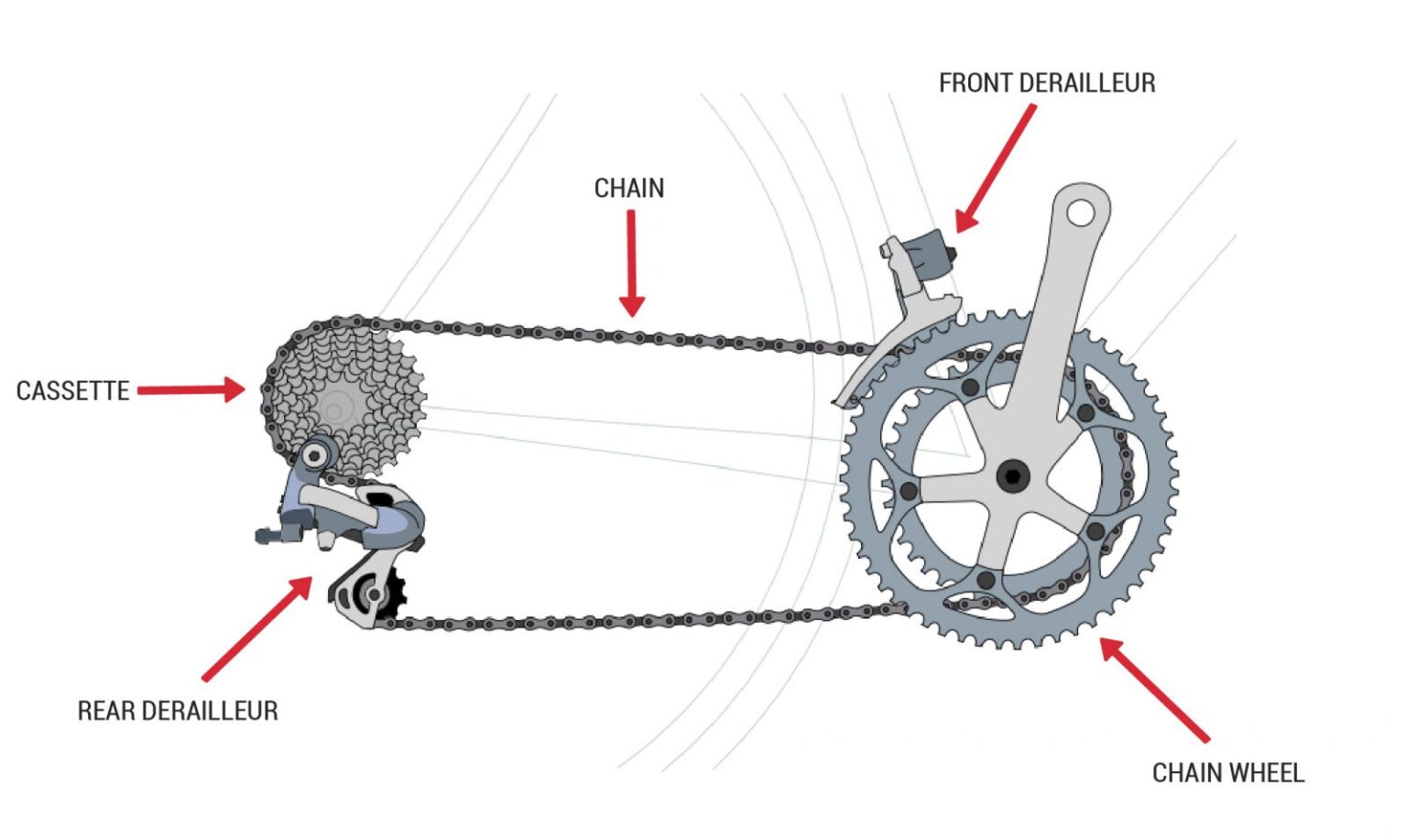 Bike Parts Diagram: A Complete Bicycle Anatomy