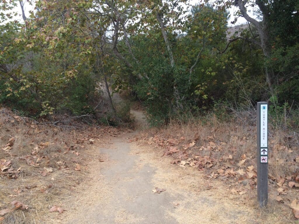 Irvine Ranch Open Space Mountain Bike Trail in Irvine, California ...